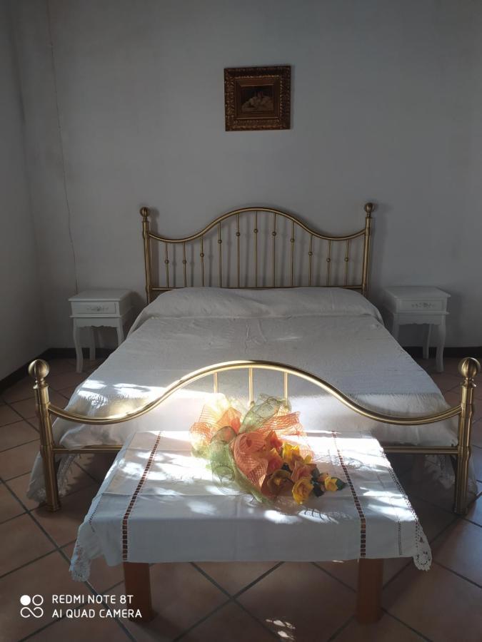 La Rosa Selvatica Bed and Breakfast Ravarino Exteriör bild