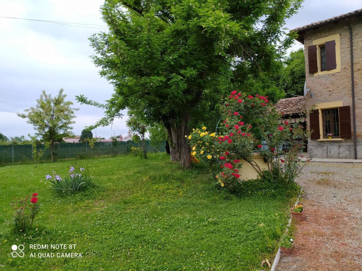 La Rosa Selvatica Bed and Breakfast Ravarino Exteriör bild