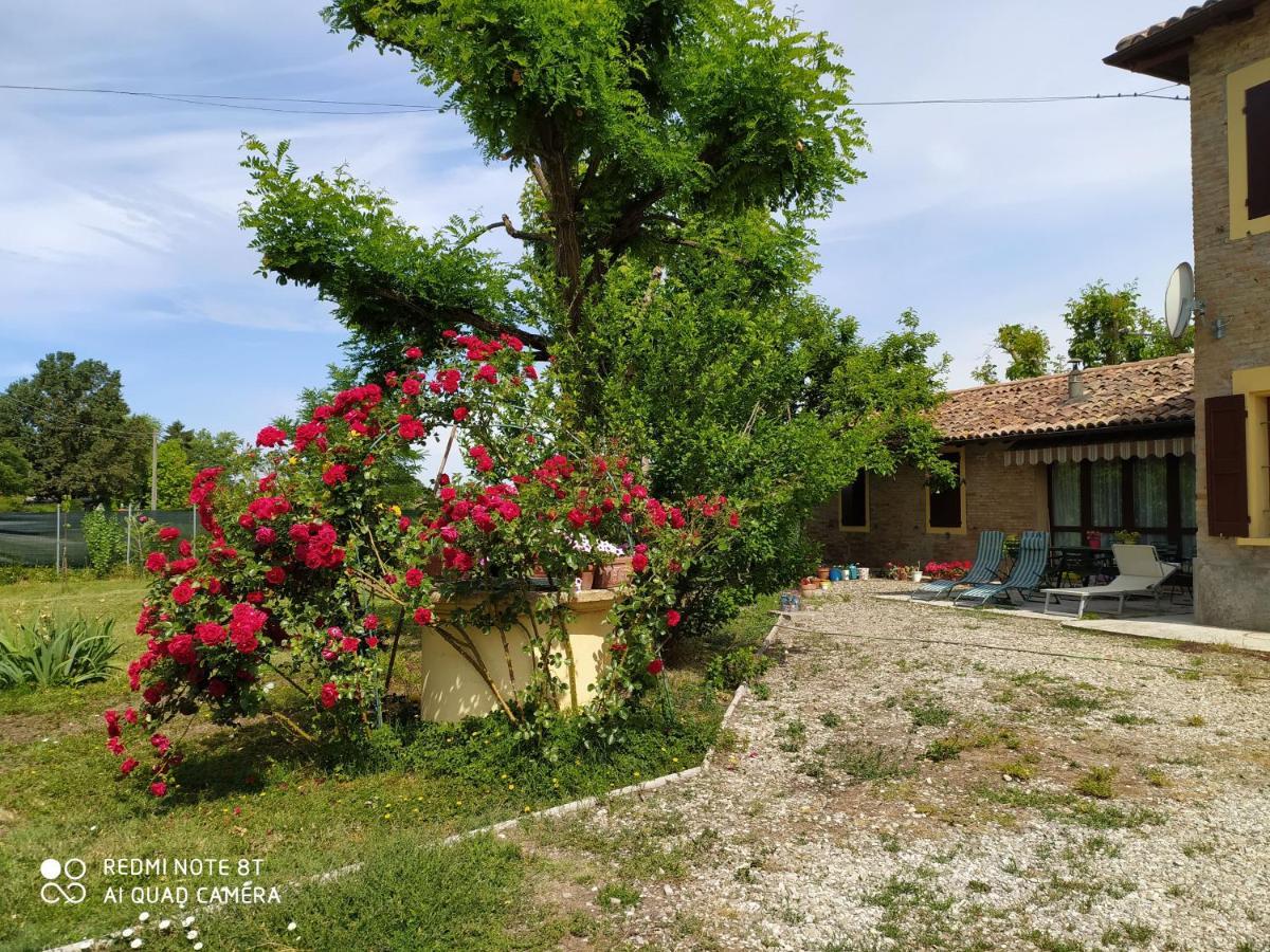La Rosa Selvatica Bed and Breakfast Ravarino Exteriör bild