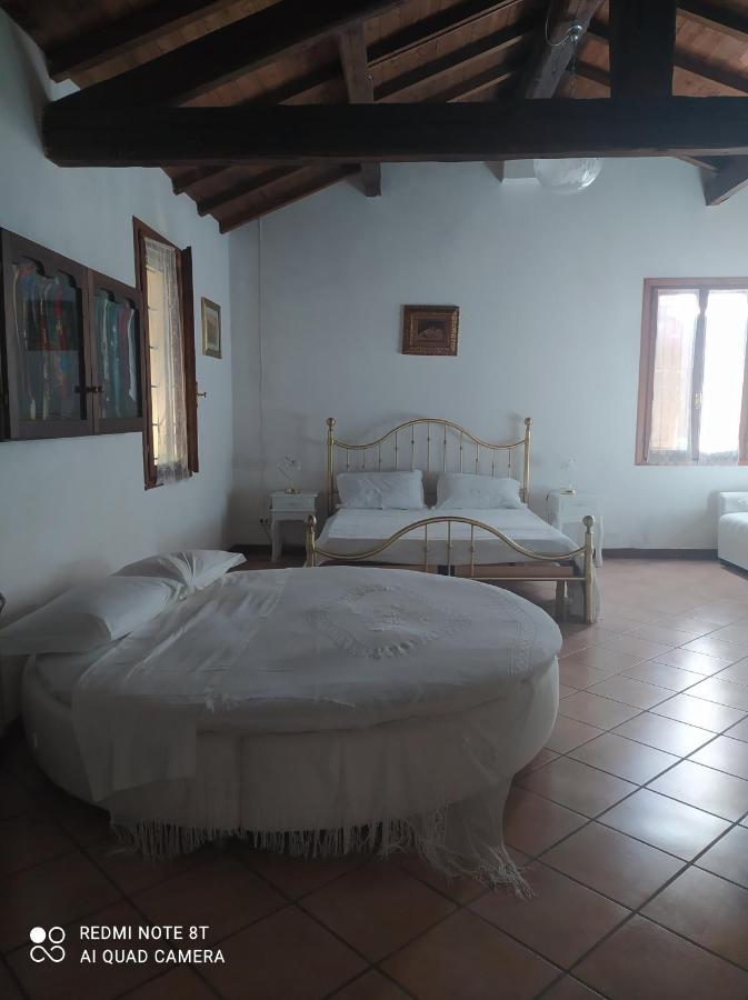 La Rosa Selvatica Bed and Breakfast Ravarino Exteriör bild